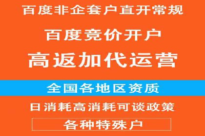 SEM竞价优化技巧分享：成功案例揭秘